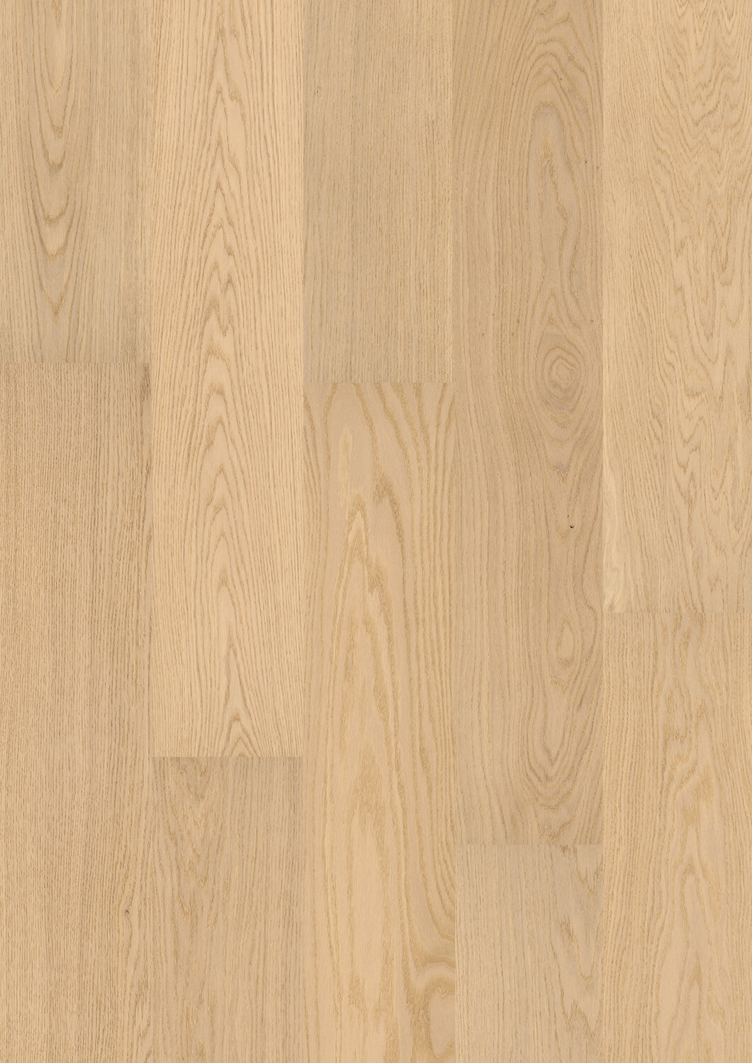 Comfort Tabis Diele Grande_Eiche Elegance_Natural matt versiegelt Draufsicht der natural matt versiegelten C-Tabis Diele Grande Diele im unregelmäßigen Verband aus Eiche mit Elegance-Sortierung