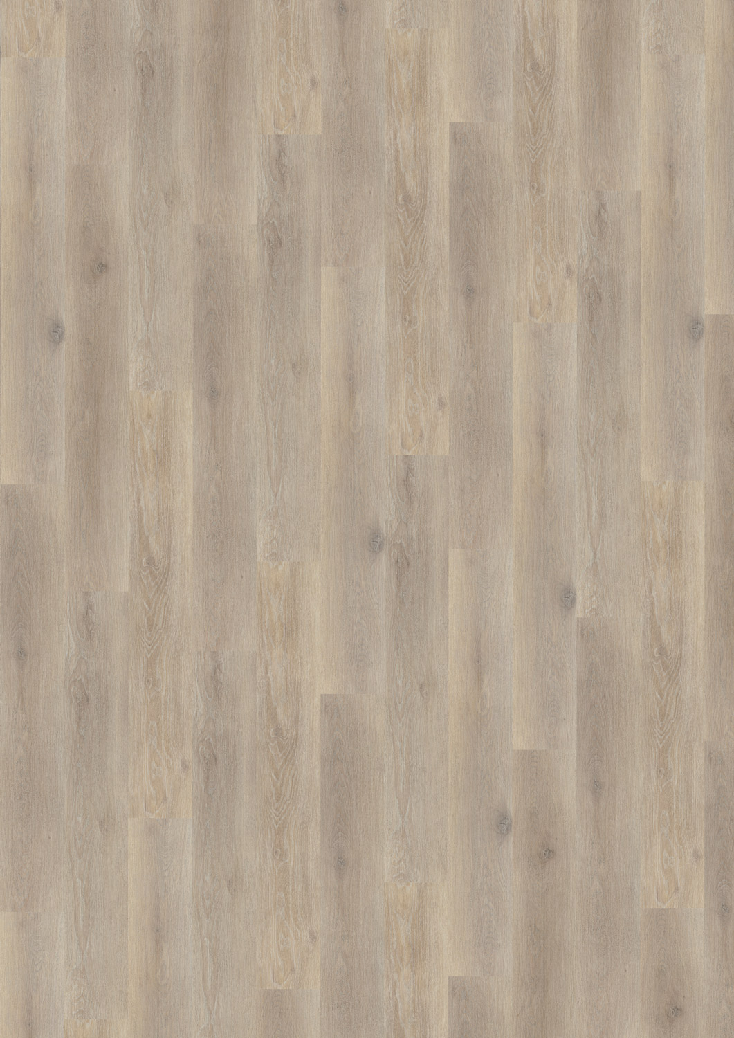 JAB Designboden Wood Chalked Oak Grey 30004 web Draufsicht - JAB Designboden Wood Chalked Oak Grey 30004 web