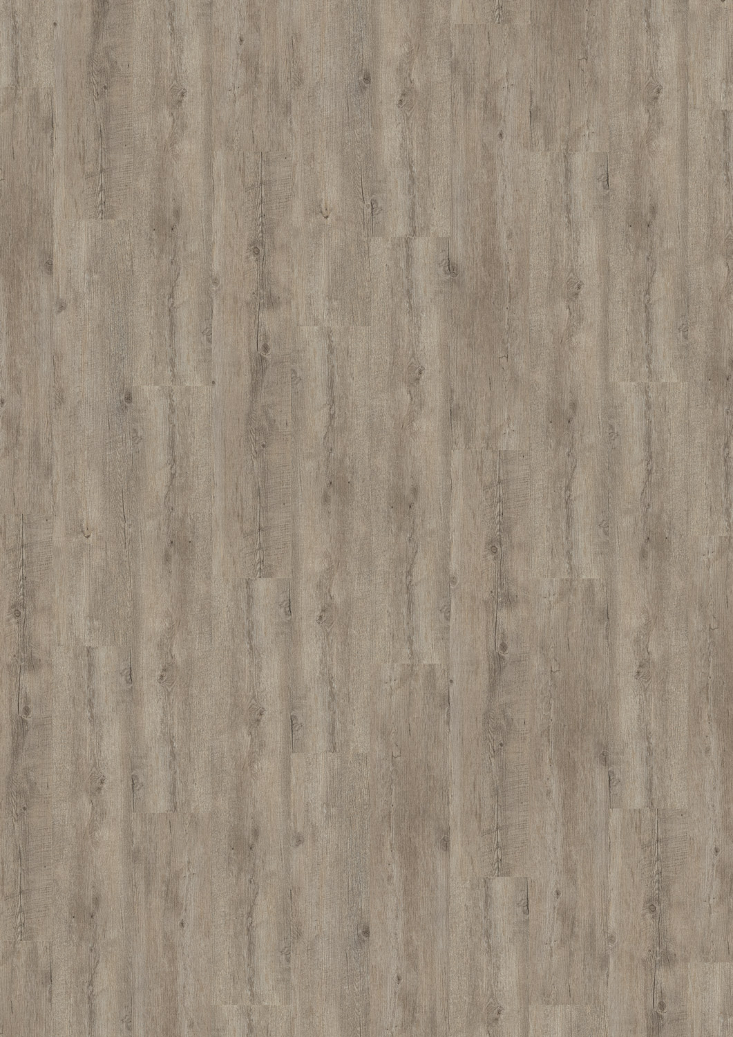 JAB Designboden Wood Nordic Wood 6002 web Draufsicht - JAB Designboden Wood Nordic Wood 6002 web