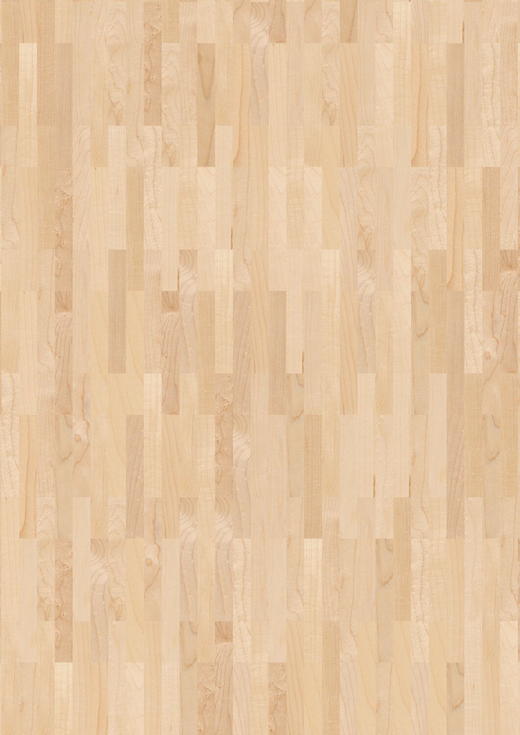 Master American Maple Master American Maple