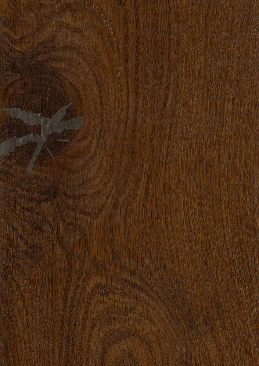 Landhausdiele Boston Eiche Darkbrown astig, gebürstet und geölt Draufsicht Landhausdiele Boston Eiche Darkbrown astig, gebürstet und geölt