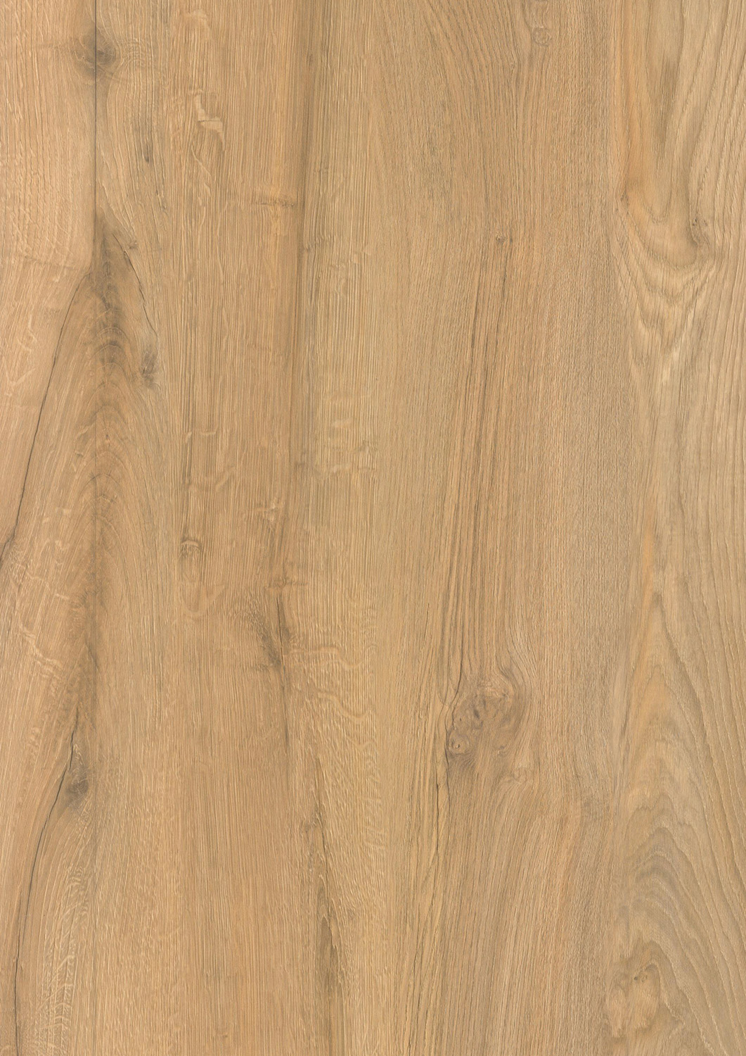 designboden-ebenbild-thueringer-wald Holzdekor Designboden Ebenbild Thüringer Wald